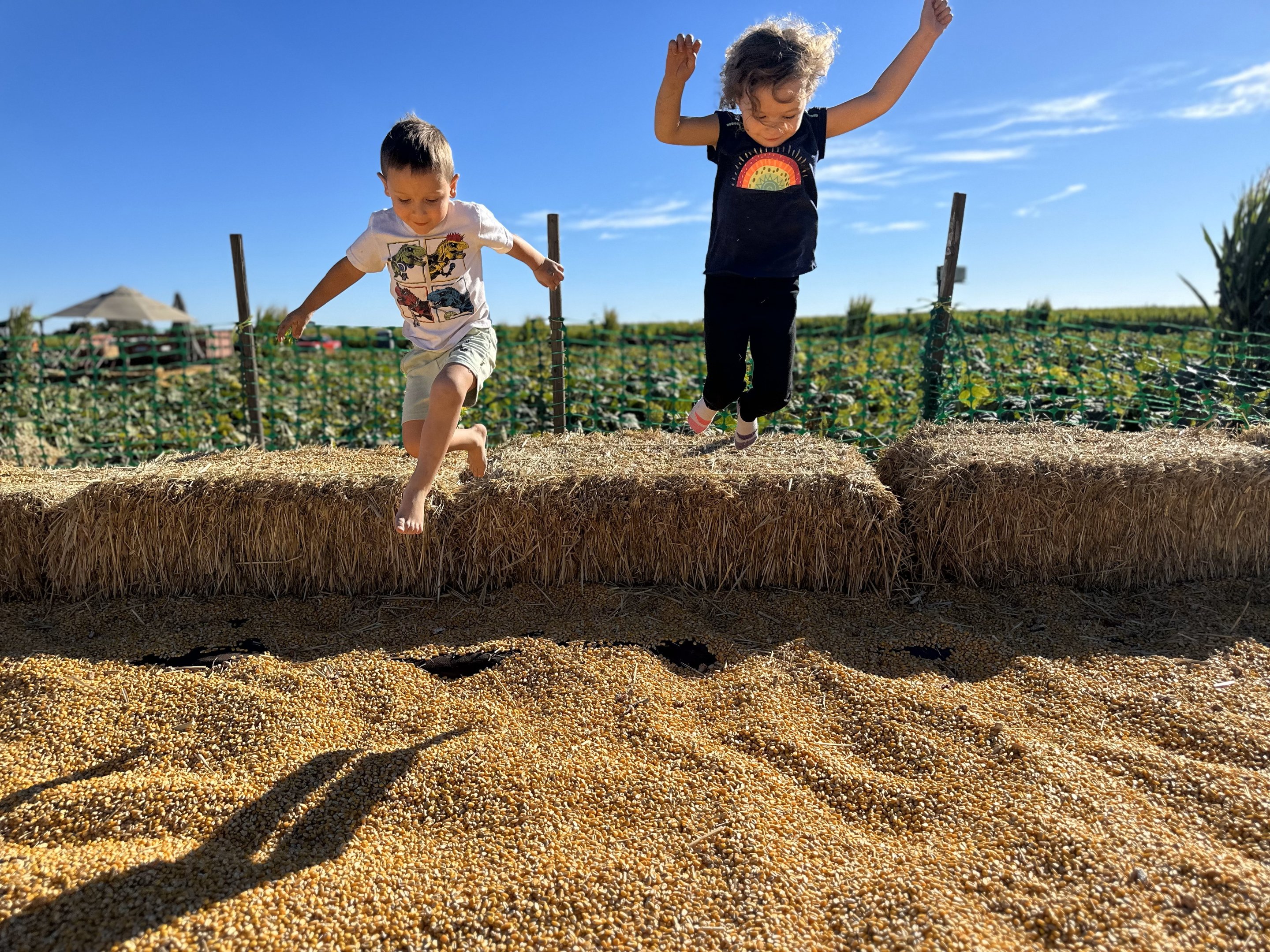 school background image