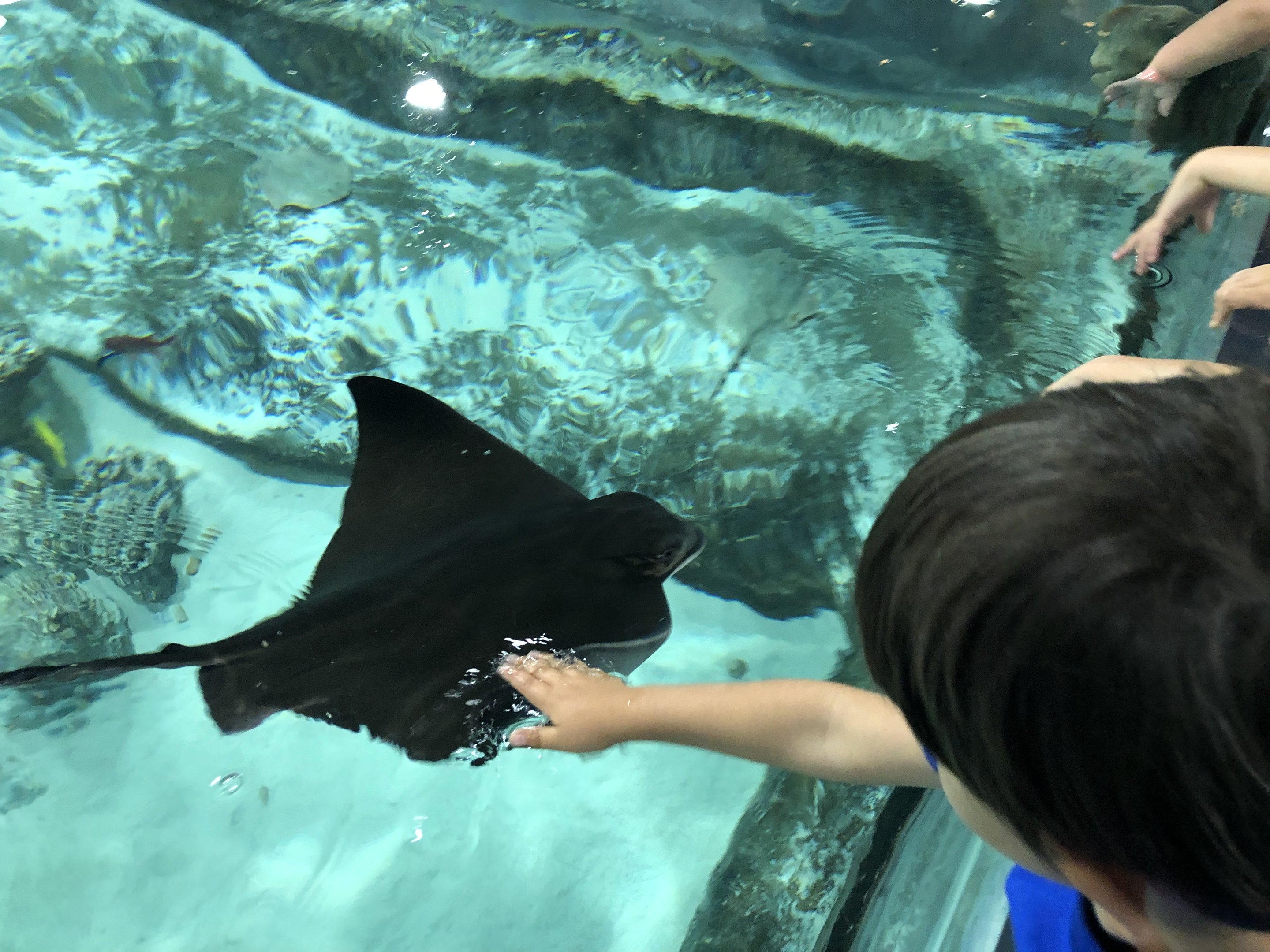 school background image