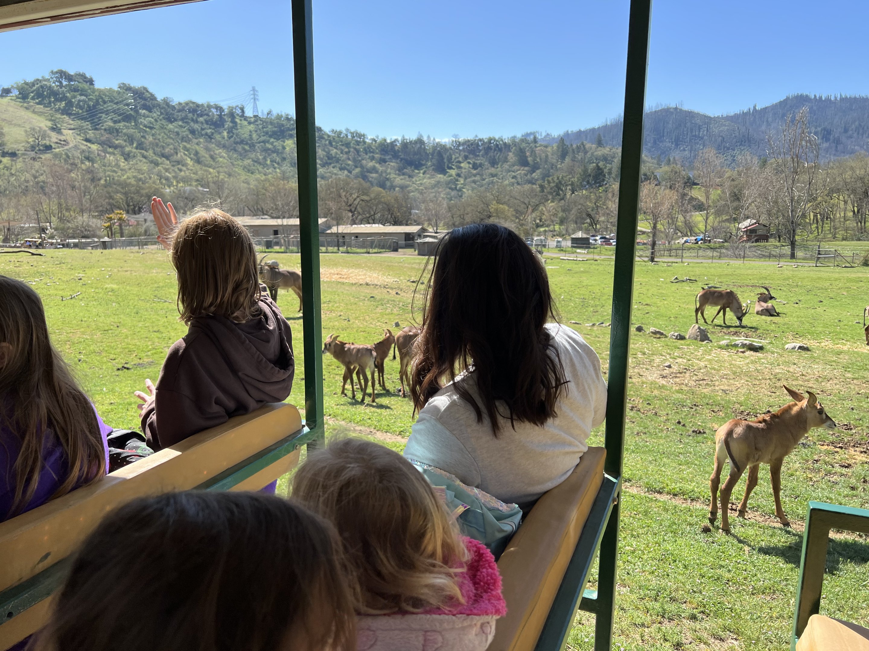 school background image