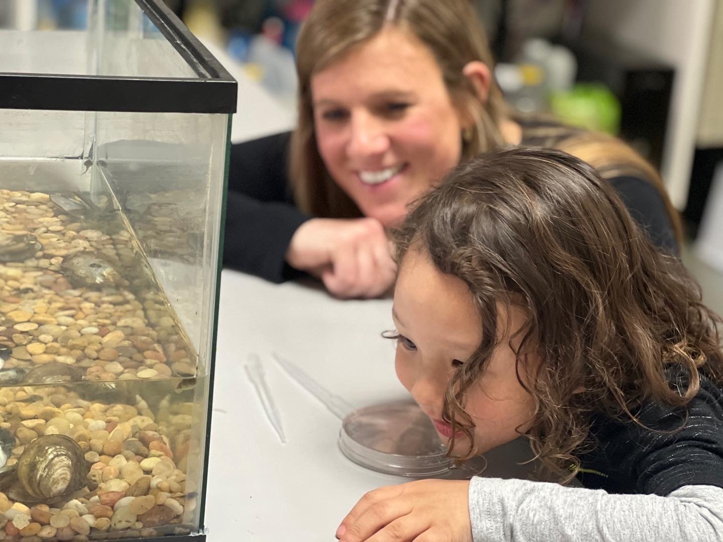 school background image